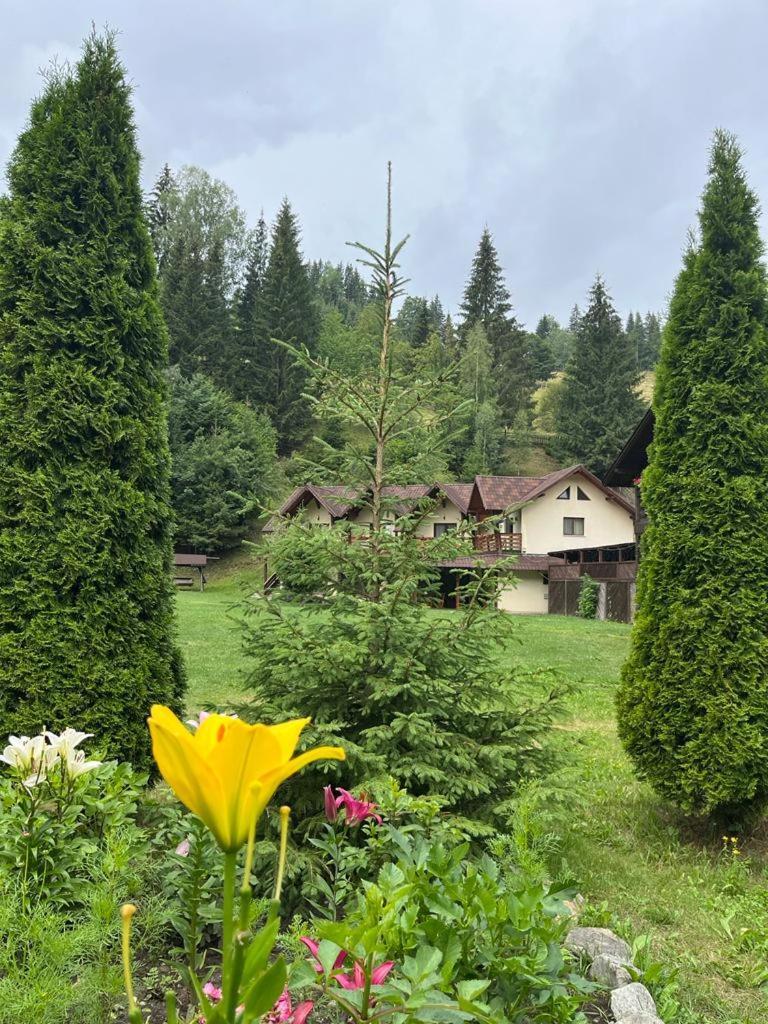 Hotel Pietrele Doamnei Pojorîta Exterior foto
